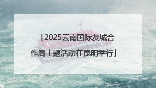 2025云南国际友城合作周主题活动在昆明举行