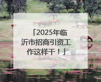 2025年临沂市招商引资工作这样干！