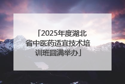 2025年度湖北省中医药适宜技术培训班圆满举办