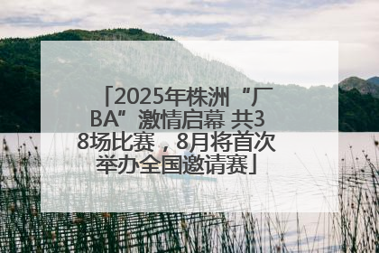 2025年株洲“厂BA”激情启幕 共38场比赛，8月将首次举办全国邀请赛
