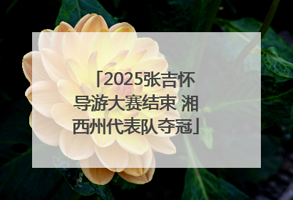 2025张吉怀导游大赛结束 湘西州代表队夺冠