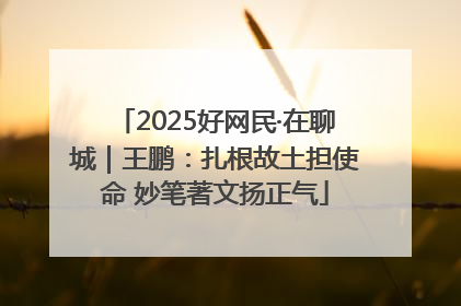 2025好网民·在聊城｜王鹏：扎根故土担使命 妙笔著文扬正气