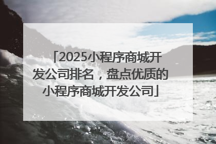 2025小程序商城开发公司排名，盘点优质的小程序商城开发公司