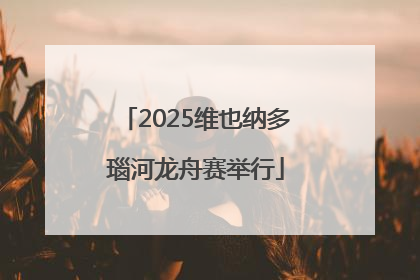 2025维也纳多瑙河龙舟赛举行