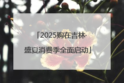 2025购在吉林·盛夏消费季全面启动
