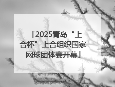 2025青岛“上合杯”上合组织国家网球团体赛开幕