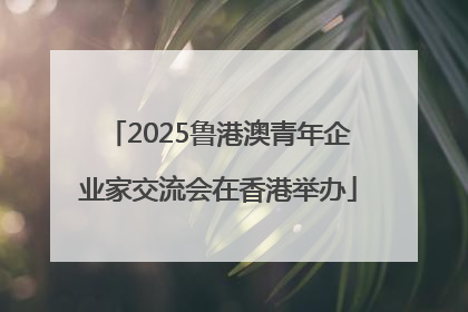 2025鲁港澳青年企业家交流会在香港举办