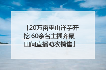 20万亩巫山洋芋开挖 60余名主播齐聚田间直播助农销售