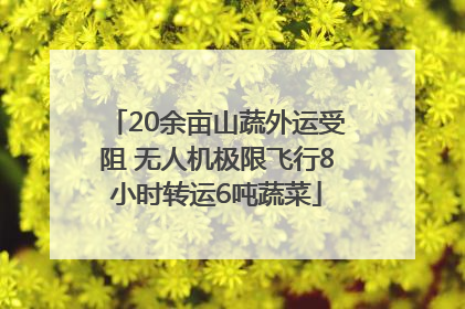20余亩山蔬外运受阻 无人机极限飞行8小时转运6吨蔬菜