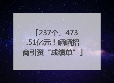 237个、473.51亿元！晒晒招商引资“成绩单”