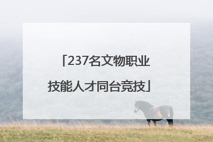 237名文物职业技能人才同台竞技