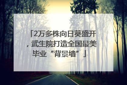 2万多株向日葵盛开，武生院打造全国最美毕业“背景墙”
