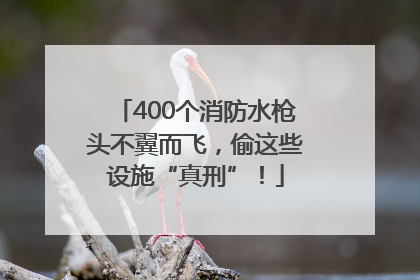 400个消防水枪头不翼而飞，偷这些设施“真刑”！