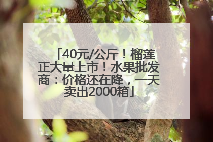 40元/公斤！榴莲正大量上市！水果批发商：价格还在降，一天卖出2000箱