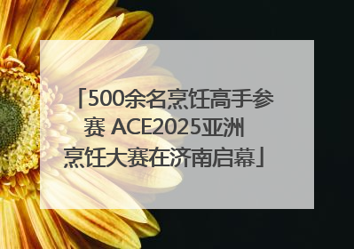 500余名烹饪高手参赛 ACE2025亚洲烹饪大赛在济南启幕