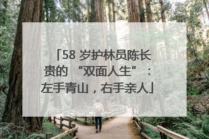 58 岁护林员陈长贵的 “双面人生”：左手青山，右手亲人