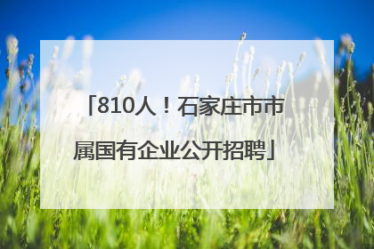 810人！石家庄市市属国有企业公开招聘