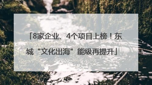 8家企业、4个项目上榜！东城“文化出海”能级再提升