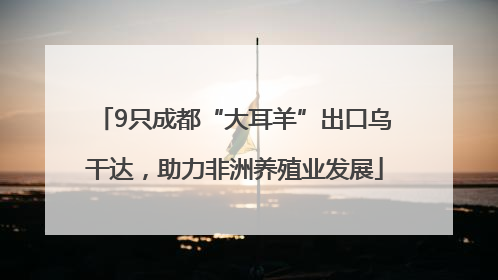9只成都“大耳羊”出口乌干达，助力非洲养殖业发展