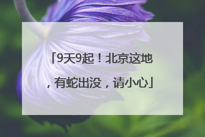 9天9起！北京这地，有蛇出没，请小心