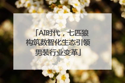 AI时代，七匹狼构筑数智化生态引领男装行业变革
