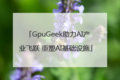 GpuGeek助力AI产业飞跃 重塑AI基础设施