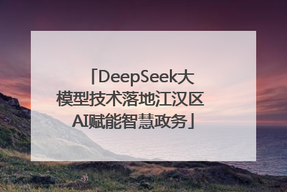 DeepSeek大模型技术落地江汉区 AI赋能智慧政务